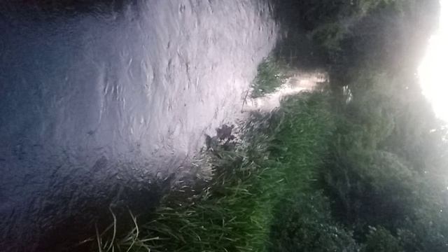 VID_20260605_201618.mp4