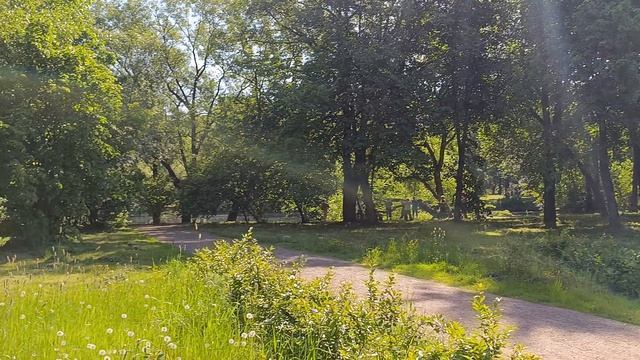 утро на спортплощадке