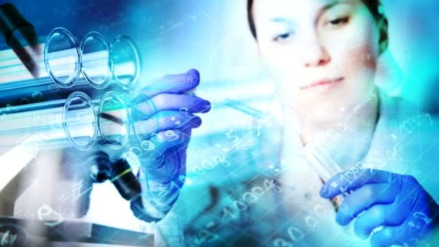 1000042716.mp4 Дисциплины.