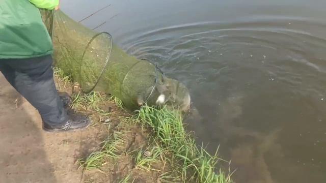 1000152520.mp4