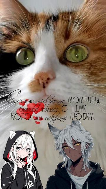 «Не бойся. Мы рядом. Даже когда ты нас не видишь. Твои ХВОСТЯТА» 💔🐾