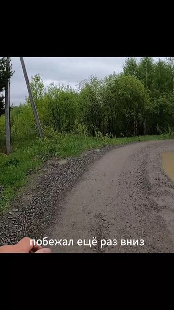 «Весеннее месиво»