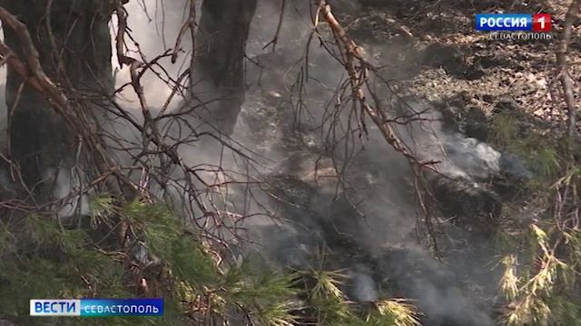 В Байдарской долине спасатели потушили пожар у подножья горы Ильяс-кая