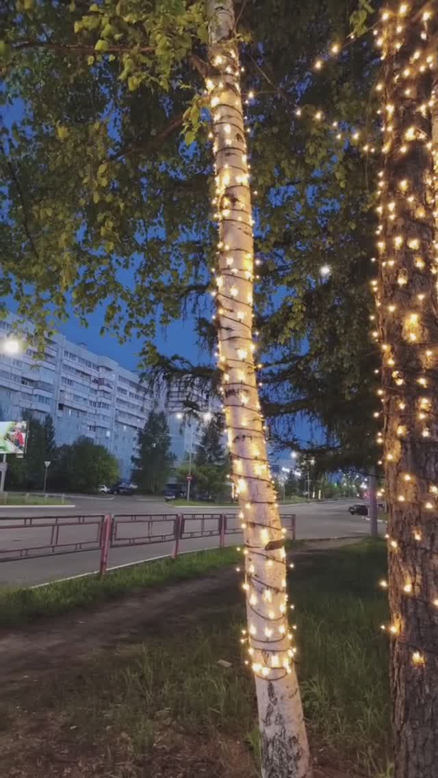 Контрасты Крайнего Севера #shorts
