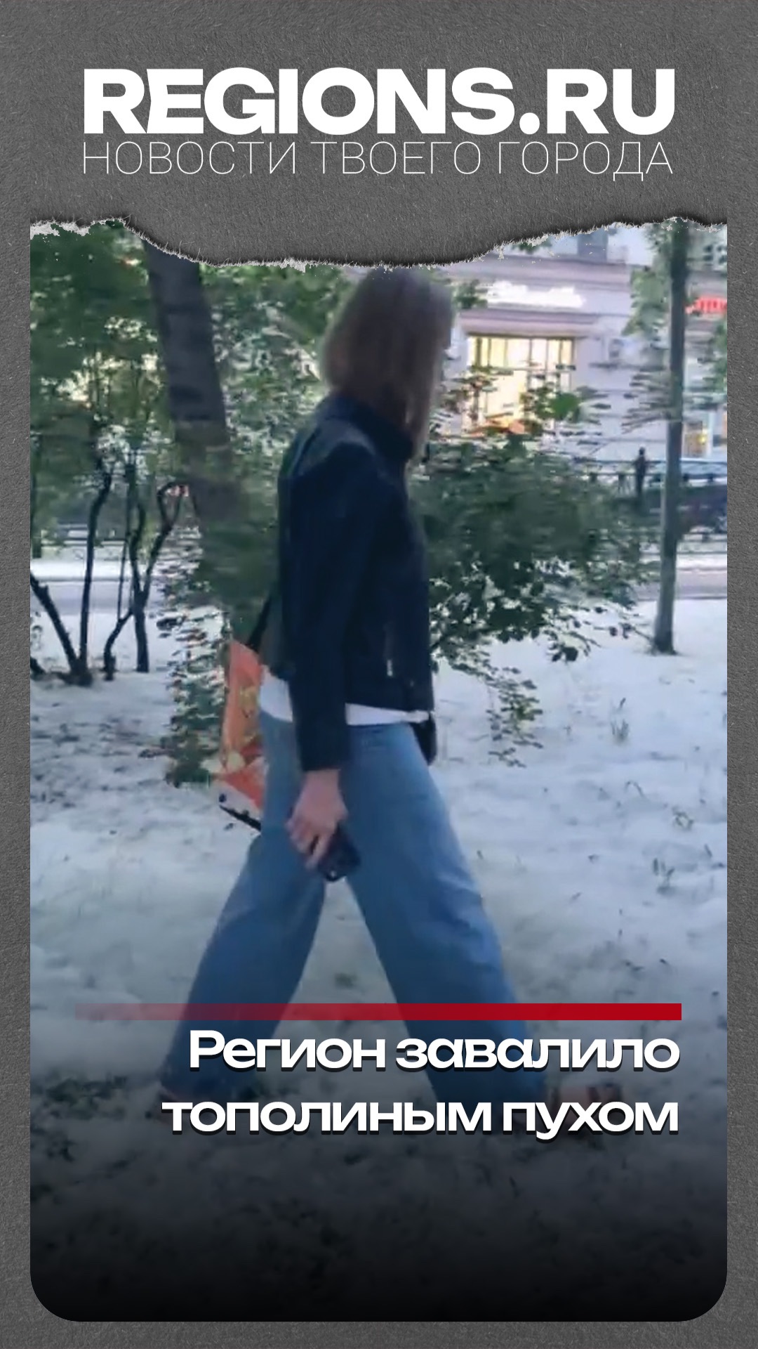 Регион завалило тополиным пухом