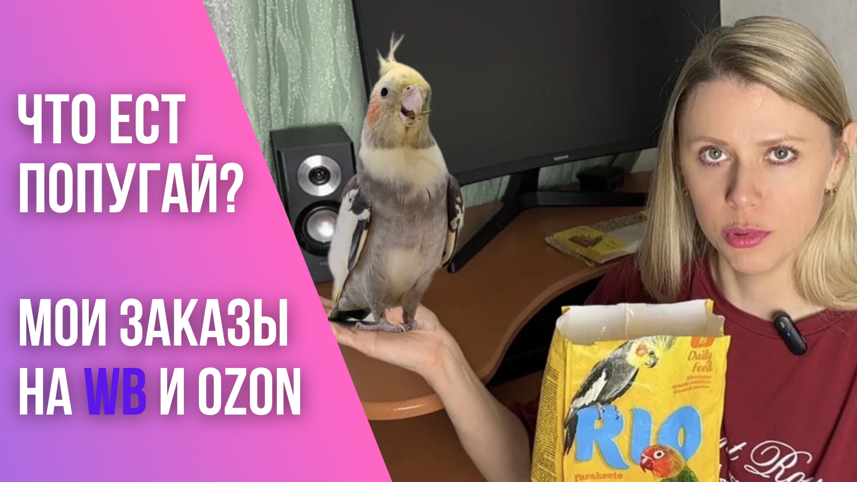 Чем кормить попугая?