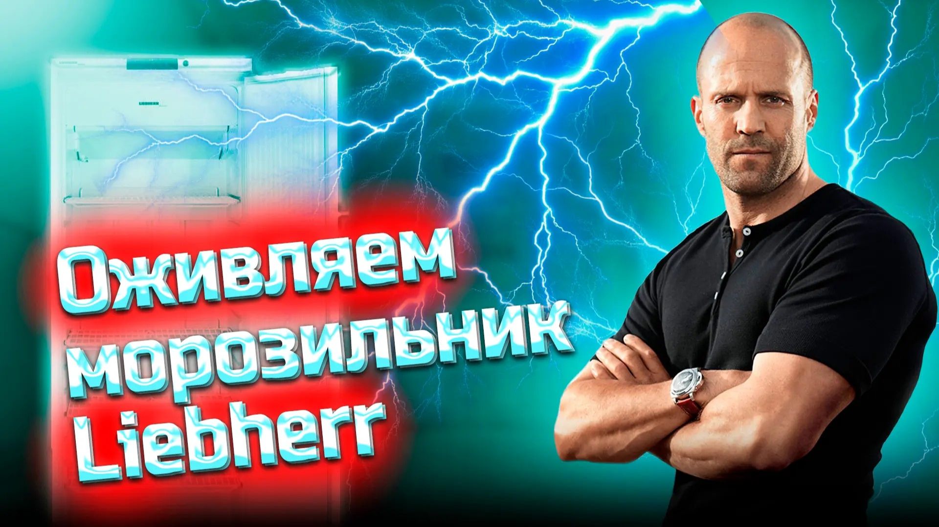 Оживляем морозильник Liebherr