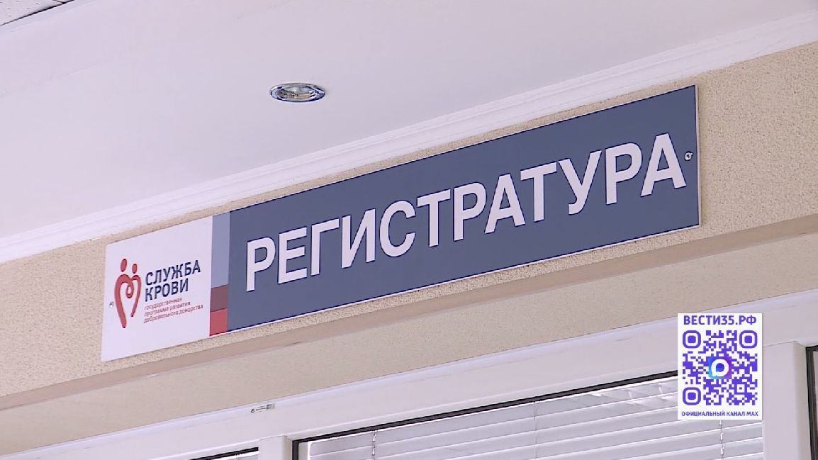 Вологжан приглашают присоединиться ко всероссийской акции «Неделя IT-донора»