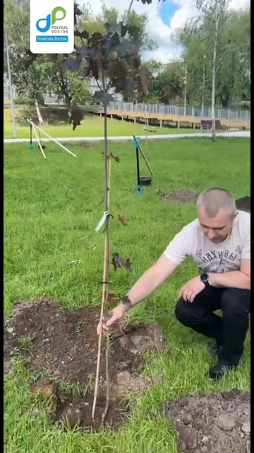 20 лет роста!