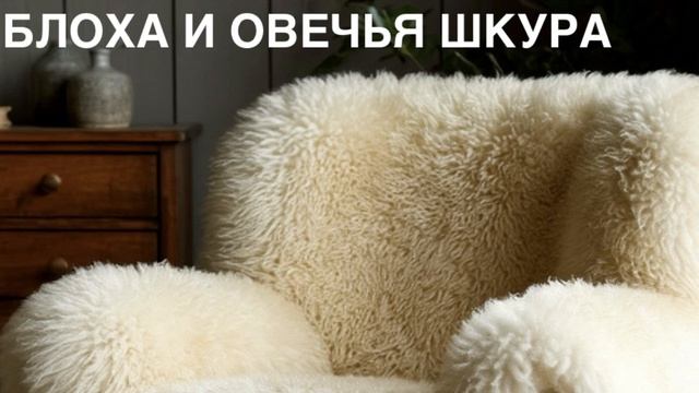 ЛЕОНАРДО ДА ВИНЧИ. Басня «БЛОХА И ОВЕЧЬЯ ШКУРА».
