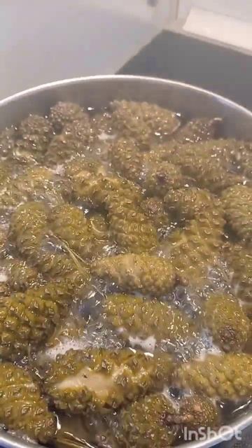 Варенье из сосновых шишек