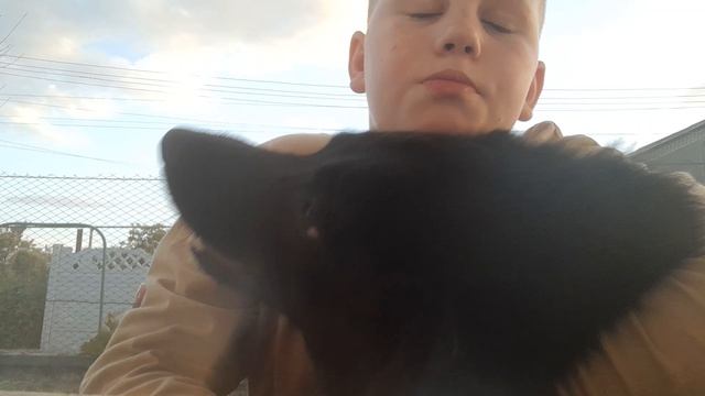 Признания.