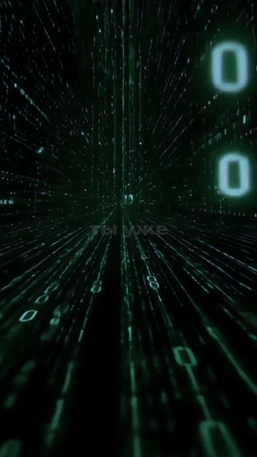 Порт0 — Пыль (7)