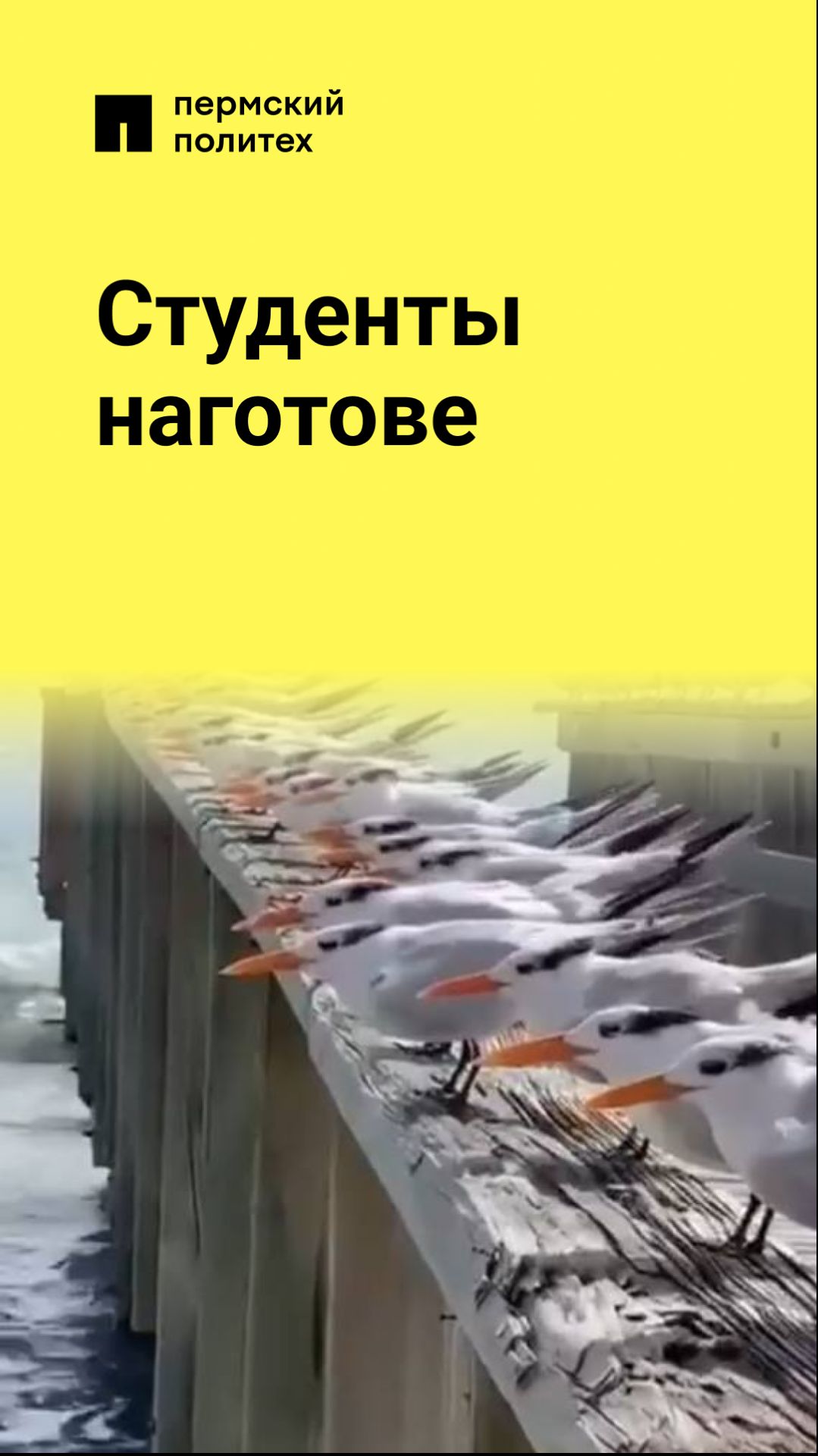 Студенты наготове!