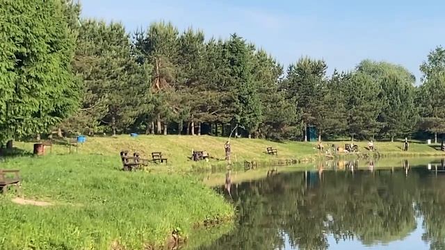 поимка карпа