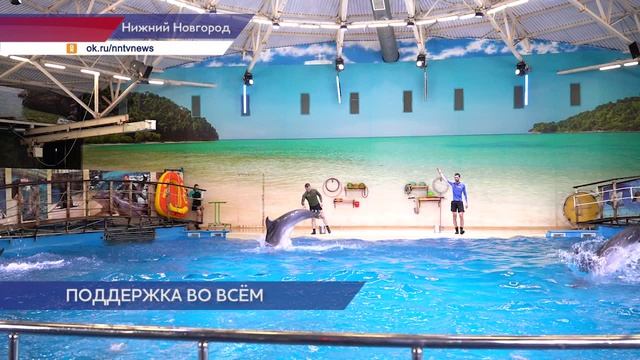 Двадцать пять членов семей участников СВО посетили нижегородский дельфинарий