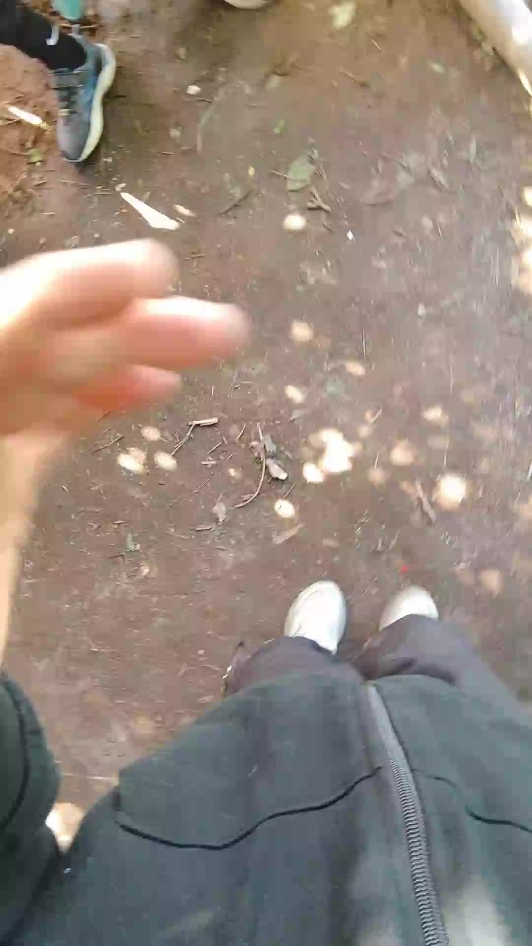 стрим