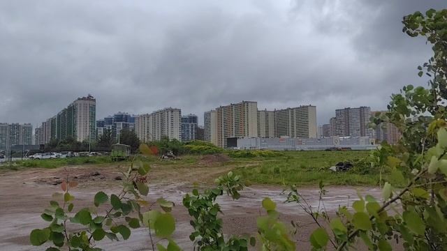 Мурино. территория Транспортная, 6
Жиляк и трафик