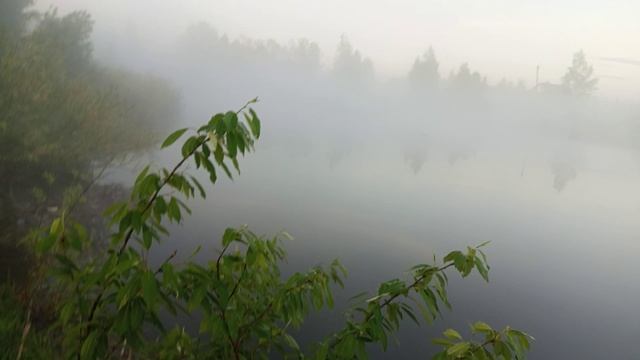1000015352.mp4