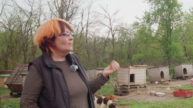 Пора домой (12+), выпуск 8