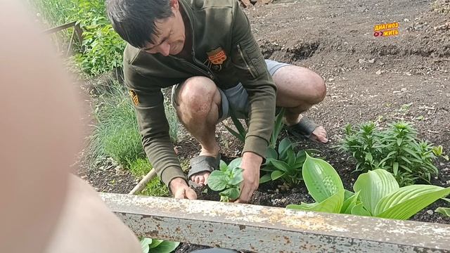 БУДНИ НА КАНАЛЕ ДИАГНОЗ ЖИТЬ