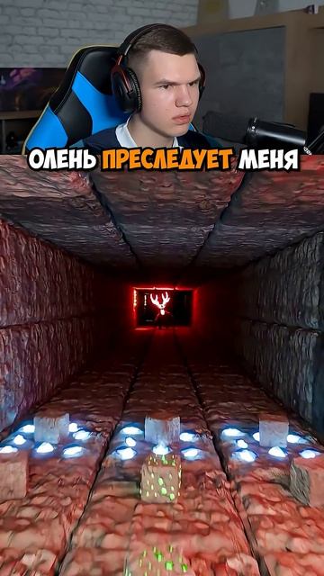 ЧТО ТУТ ПРОИСХОДИТ?😳 #shorts #шортс #minecraft #майнкрафт