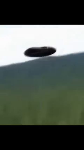 Близкий Контакт в Лесу