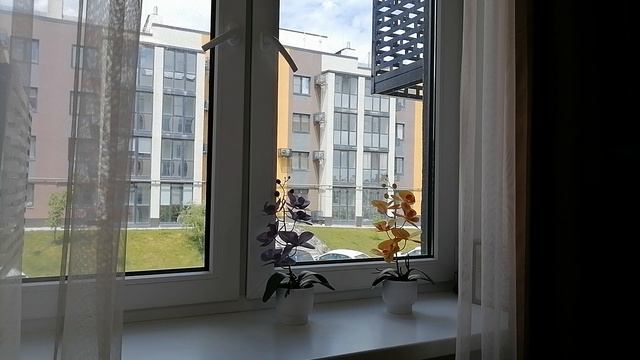 Ловко мужчина устроился