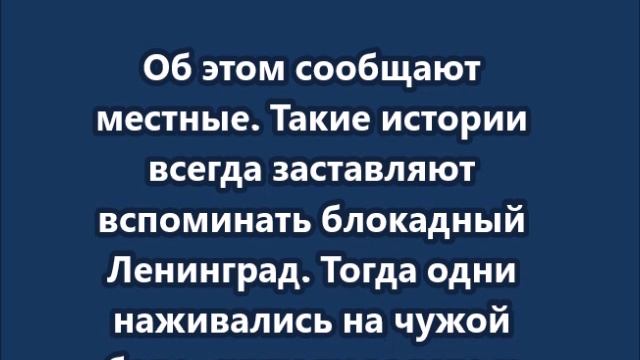 В Крыму перекупщики продают бензин уже по 250 рублей за литр