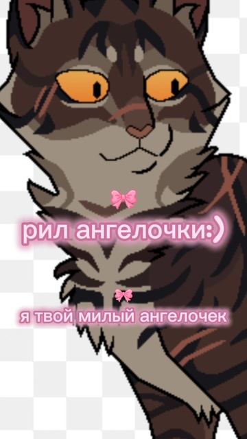 43658.mp4