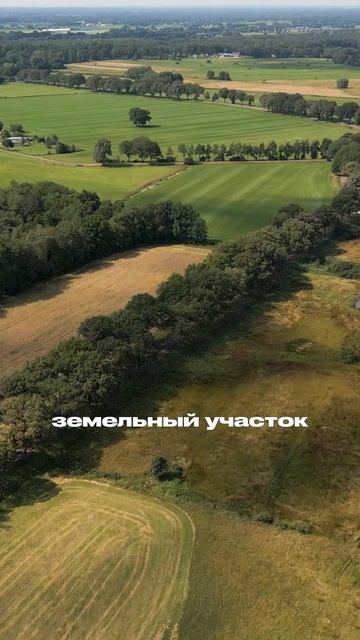 Это имущество заберут при банкротстве!