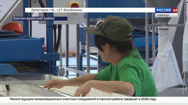 В Бахчисарайском районе запустили производство миндаля полного цикла: от сада до прилавка