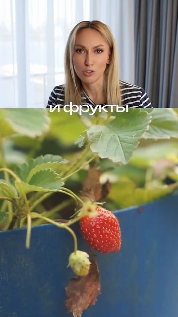 Пиши «свобода» для записи на экскурсию! #хаусбот #houseboat #домнаводе #жизньнаводе