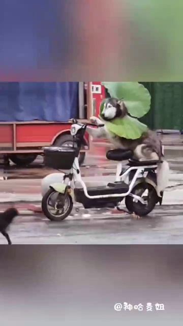 Ты иди, я припаркую😆!))
