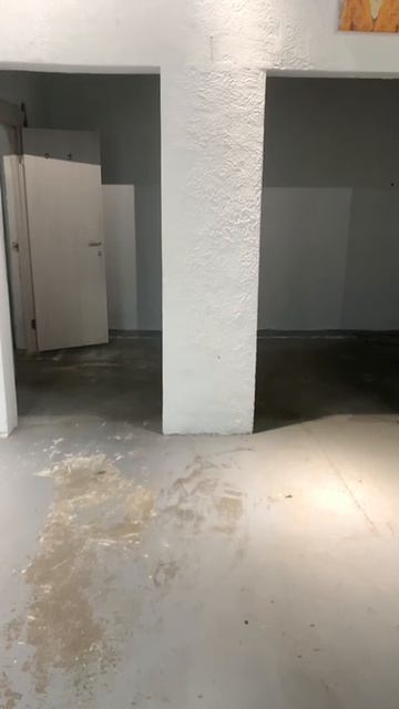 Лес_2_9