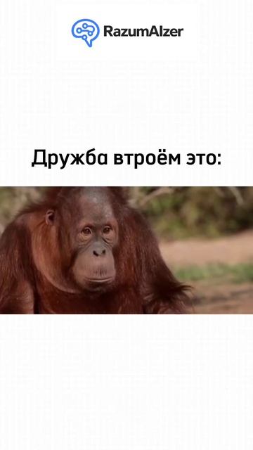 Знакомься — RazumAlzer. Твoй
Аl-помощник для учёбы. Уже
онлайн: Https://razumaizer.ai/