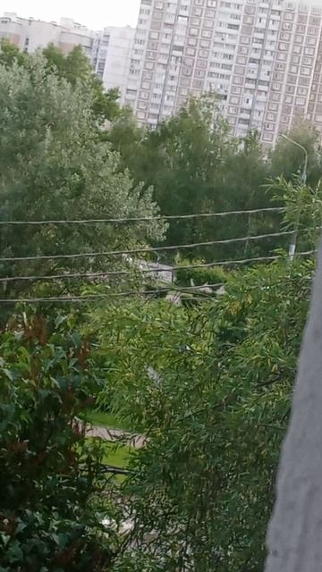 VID_20260531_200827.mp4