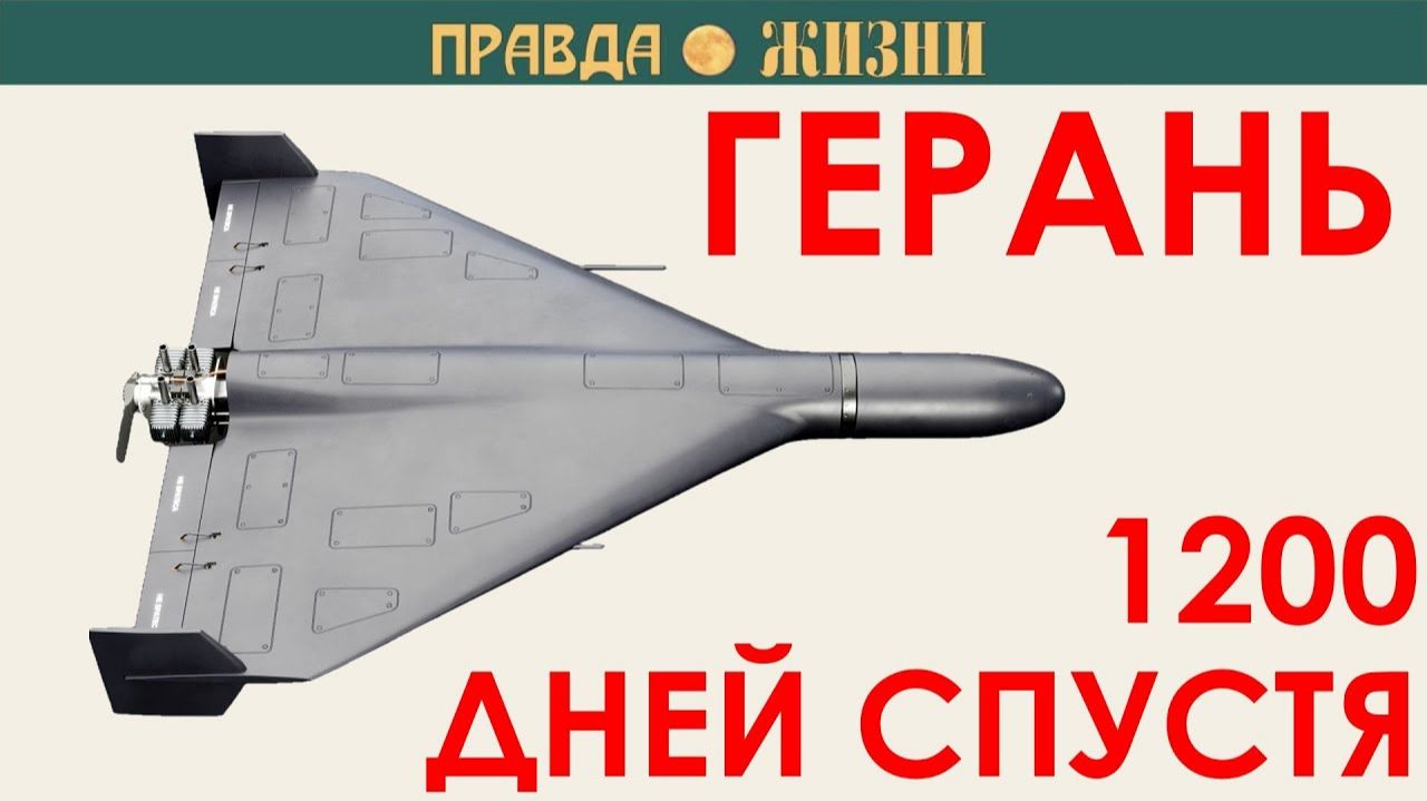 Герань три с половиной года спустя (Канал Правда Жизни)
