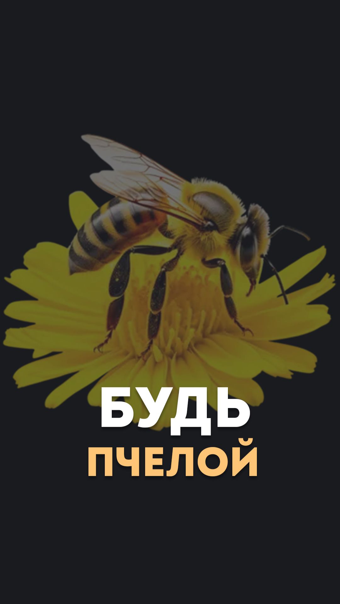 Будь пчелой