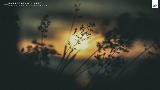 Enkalinan X Serenemoon - Everything I Need