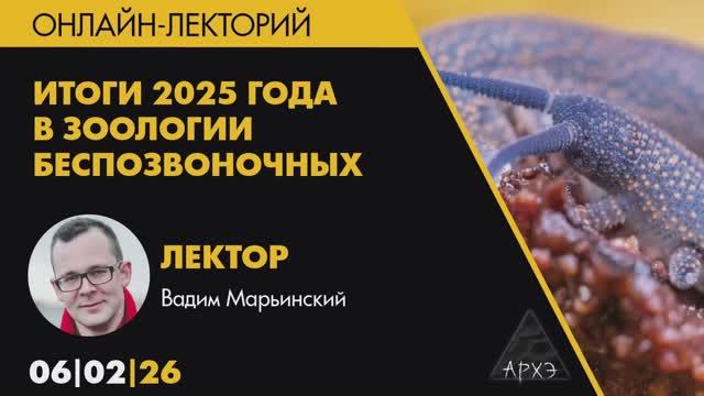 Вадим Марьинский - Научные итоги 2025 года в зоологии беспозвоночных (6 февраля 2026)