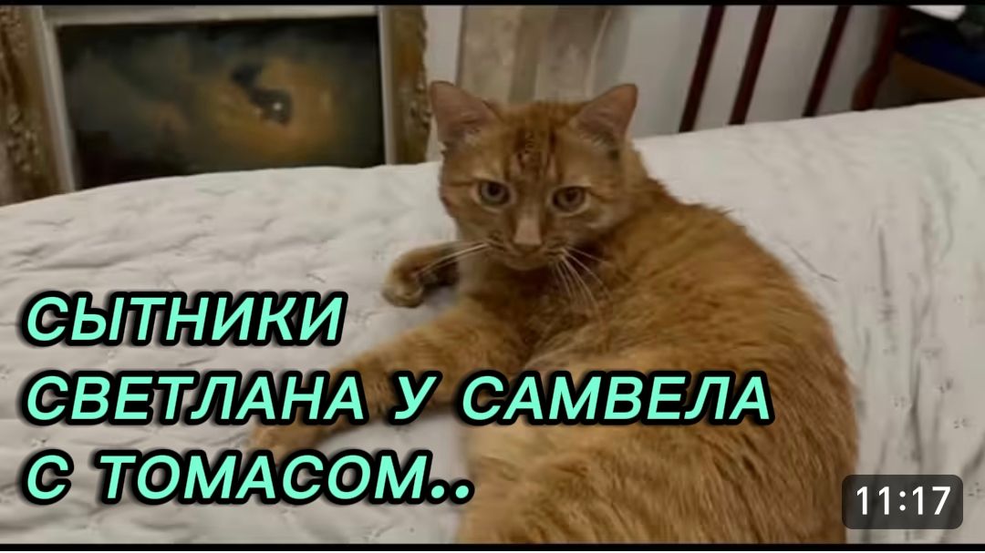 САМВЕЛ АДАМЯН, СЫТНИКИ, СВЕТЛАНА У САМВЕЛА С ТОМАСОМ..