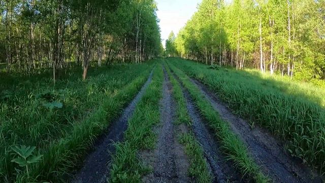 День 637. Чудеса, да и только. Дистанция 18 километров.