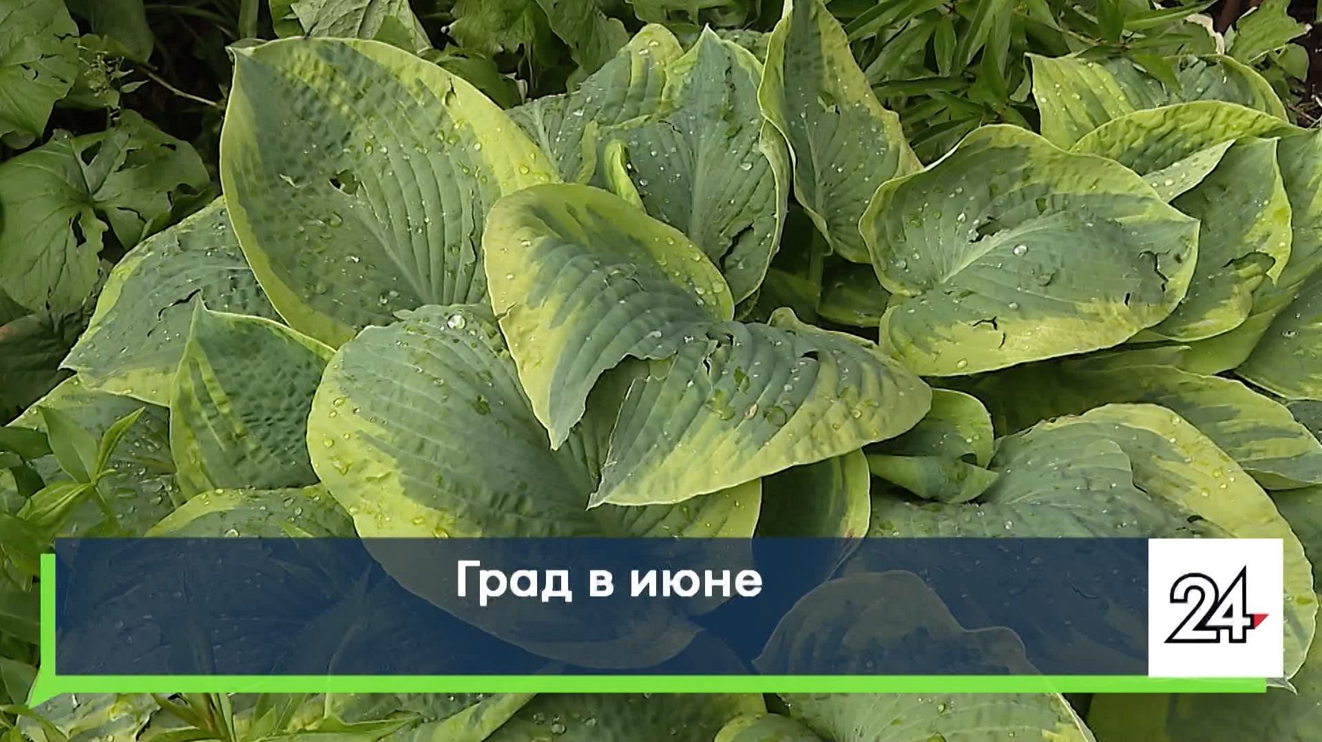 Град в июне