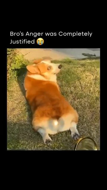 зря ты это сделал 🤣🤣🤣