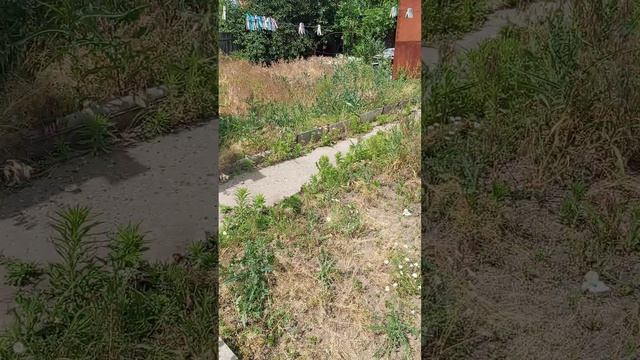 1000041684.mp4