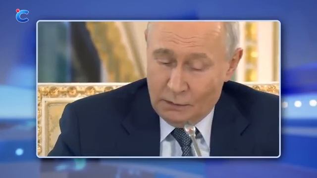 Резкий комментарий Путина в адрес Украины Зеленский попросил Путина о личной встрече