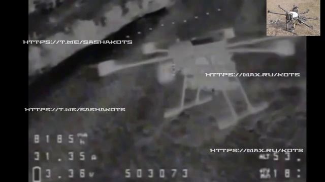 «Ягоцид» под Добропольем.