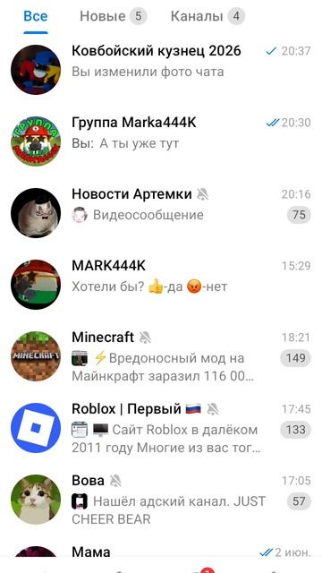 у меня появился чат в макс
