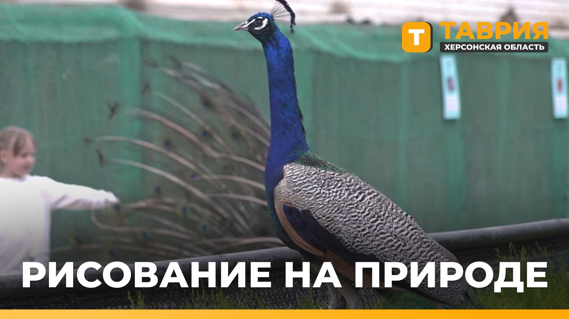 В 